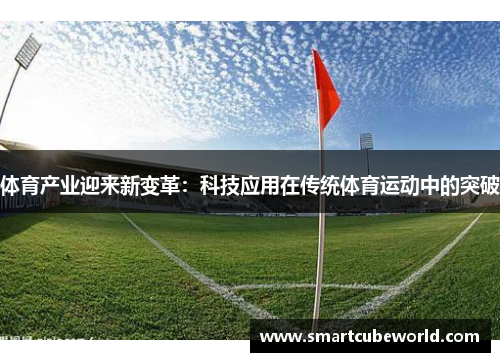 体育产业迎来新变革：科技应用在传统体育运动中的突破